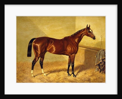 Orlando, a Bay Racehorse in a Loosebox, 1845 by John Frederick Herring Snr