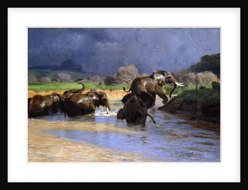 Elephants Bathing; Badende Elefanten, 1908 by Wilhelm Kuhnert