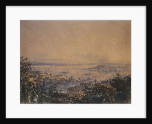 A View of Constantinople, 1866 by Amadeo Preziosi