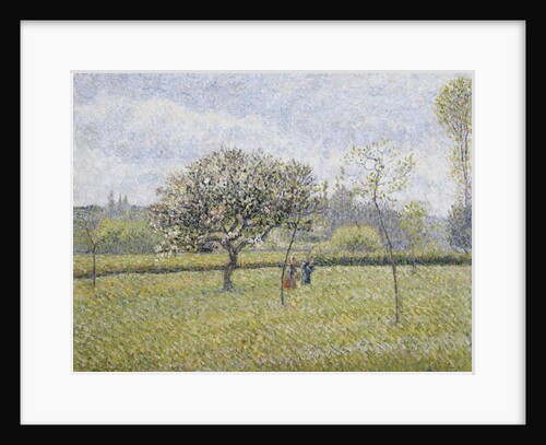 Apple Tree in Flower at Eragny by Camille Pissarro