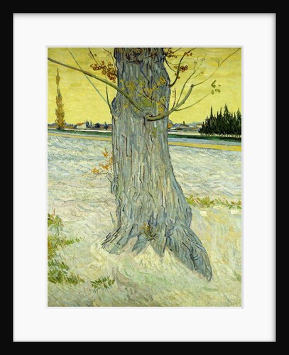 The Old Tree; Le Vieil If, 1888 by Vincent van Gogh