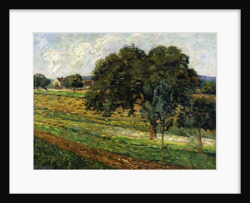 Trees and Flowers, Damiette Countryside; Arbres et Fleurs, Paysage a Damiette, c.1885 by Jean Baptiste Armand Guillaumin