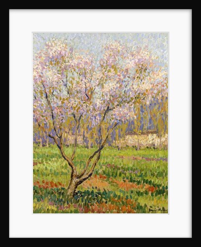 Apple Tree in Blossom; Pommiers en Fleurs by Henri Jean Guillaume Martin
