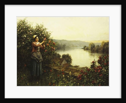 Summer Blossoms by Daniel Ridgway Knight