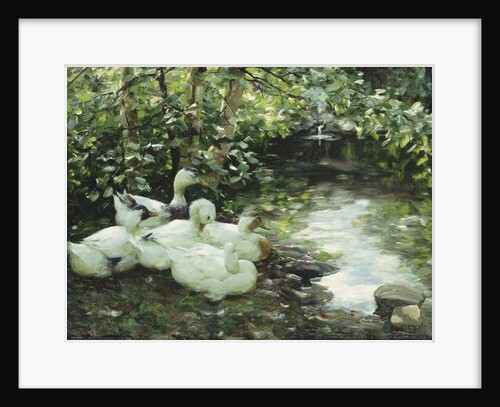 Five ducks on the river, Stony shore; Funf Enten am Bach, Steiniges Ufer by Alexander Koester