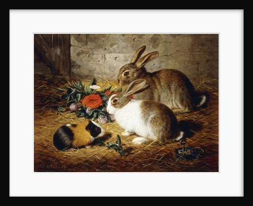 Escaped: Two Rabbits and Guinea Pig, 1880 by Alfred R. Barber