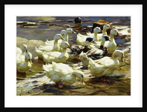 Ducks in the Pond; Enten im Teich, by Alexander Koester