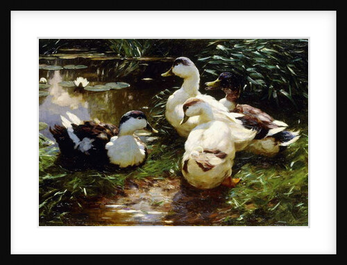 Ducks on a Riverbank by Alexander Koester