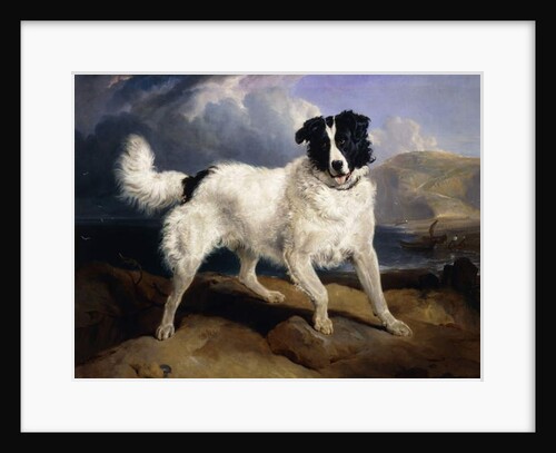 A Portrait of Neptune, 1824 by Edwin Landseer