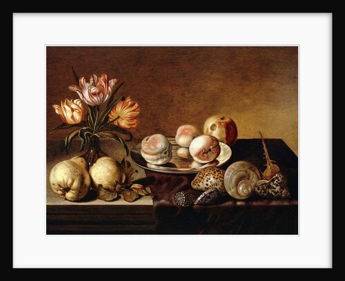 A Silver Plate of Peaches, a Vase of Parrot Tulips, Pears and Shells on a Partly Draped Table by Bartholomeus Assteyn