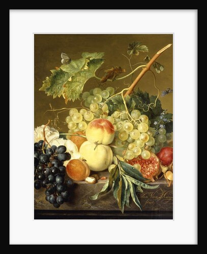 Fruit, Hazelnuts and Hollyhocks on a Marble Ledge by Jan van Huysum