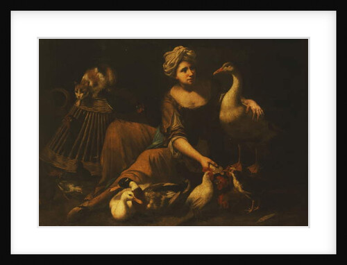 A Girl Feeding Cockerels, with a Cat on a Basket, a Goose, Duck and other Birds by Tommaso Salini
