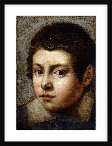 Head of a Boy by Northern Italian School