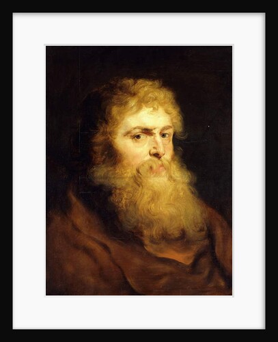 Head of a Bearded Man by Peter Paul Rubens