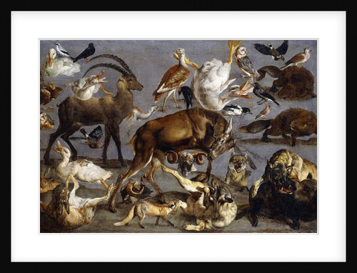 Studies of a Red Deer, an Ibex, a Wild Boar, three Wolves, two Beavers, two Hares by Carl Borromaus Andreas Ruthart