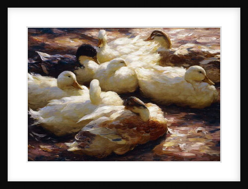 Ducks on a Riverbank, by Alexander Koester