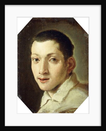 Head of a Youth by Ludovico Carracci