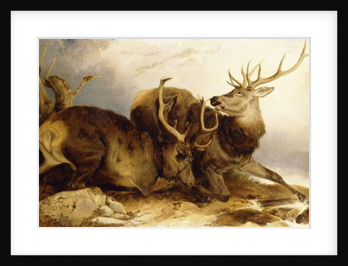 The Combat, 1847 by Richard Ansdell