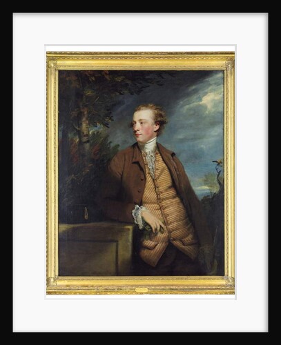 Portrait of Denis Daly by Joshua Reynolds