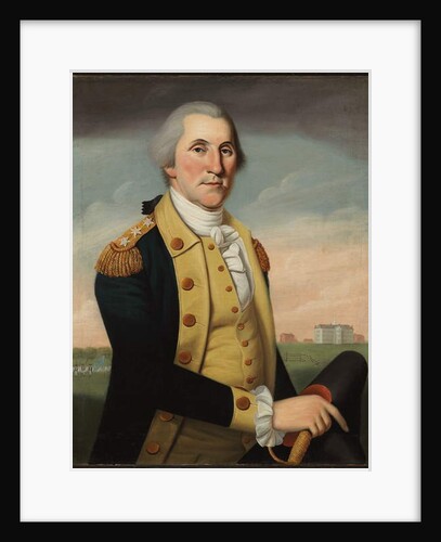 George Washington at Princeton by Charles Peale Polk