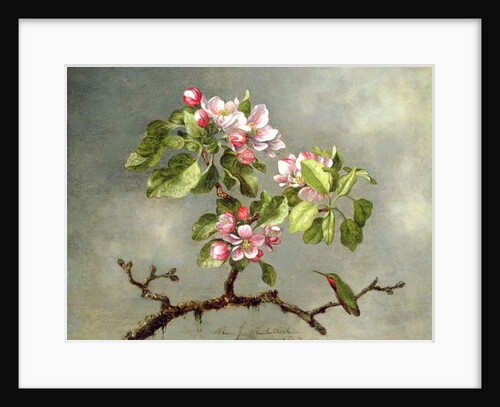 Apple Blossoms and a Hummingbird, 1875 by Martin Johnson Heade