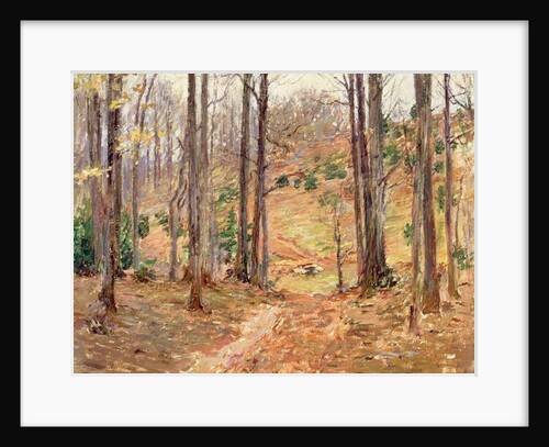 Virginia Woods, 1893 by Theodore Robinson