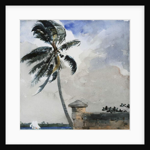 A Tropical Breeze, Nassau, 1889-90 by Winslow Homer