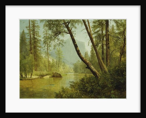 Sunlit Forest by Albert Bierstadt