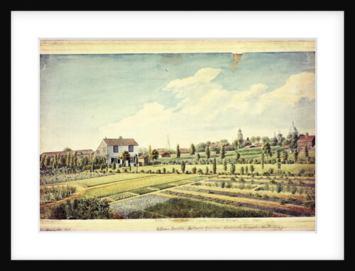 William Curtis's Botanic Garden, Lambeth Marsh, Ante 1787, c.1787 by James Sowerby