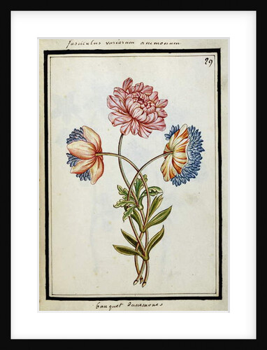 Bouquet of Anemones, c.1700 by French School