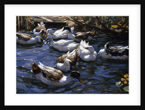Ducks in the Reeds under the Boughs by Alexander Koester