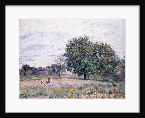 Walnut Trees, Effect of the Setting Sun - First Day of October, 1882 by Alfred Sisley