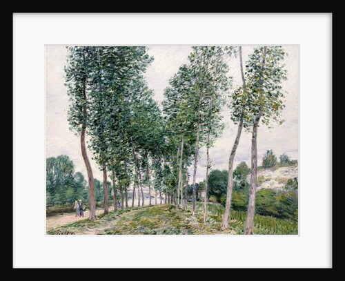 Alley of Poplars along the Loing, 1892 by Alfred Sisley