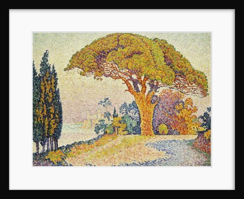 Pine Trees at Bertaud, Saint- Tropez, 1900 by Paul Signac