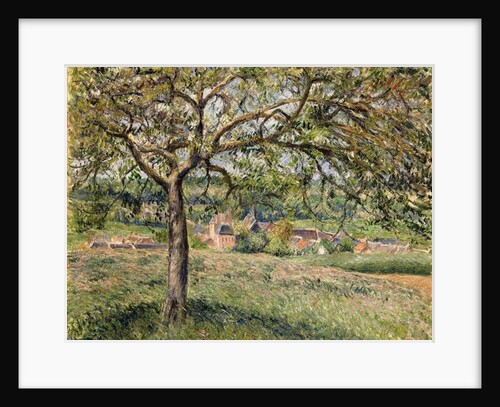 Apple Tree in Eragny, 1884 by Camille Pissarro