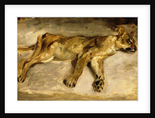 A Sleeping Lioness, c.1830 by Ferdinand Victor Eugene Delacroix