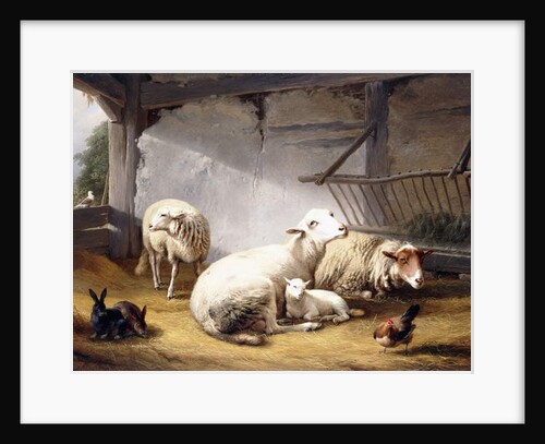 Sheep, Rabbits and a Chicken in a Barn, 1859 by Eugene Joseph Verboeckhoven