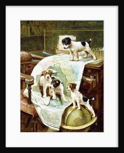 Well Travelled Jack Russell Puppies by John Hayes