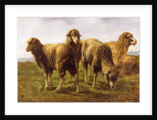 Sheep Grazing in a Meadow by Rosa Bonheur