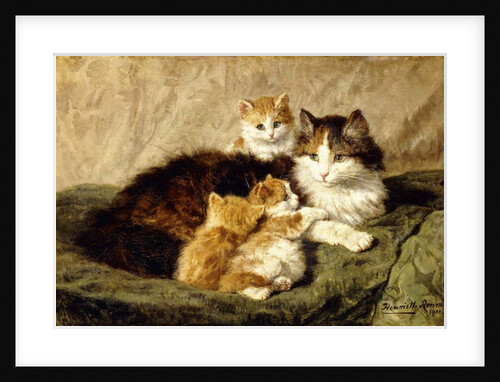 Contentment, 1900 by Henriette Ronner-Knip