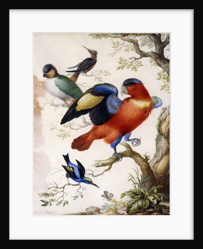 Four Birds in Wood by Herman Henstenburgh