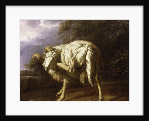 A Ram in a Wooded Landscape by Jan Baptist Weenix