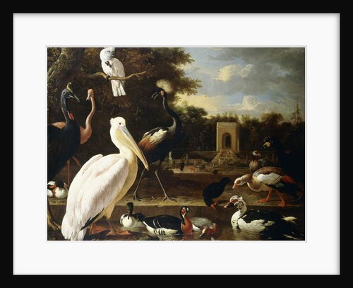 Many Different Types of Birds at a Pool in a Park by Melchior de Hondecoeter