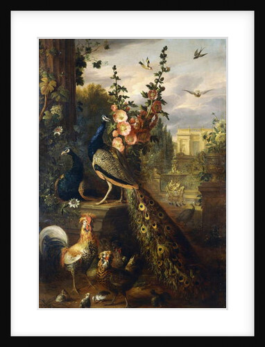 Two Peacocks on a Stone Plinth in a Garden by Jakob Bogdani or Bogdany