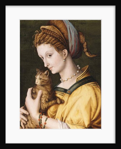 Lady With A Cat, c.1525-30 by Francesco Ubertini Il Bacchiacca