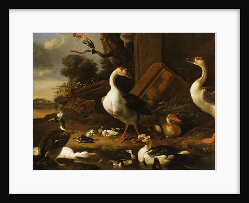 Chinese and Egyptian Geese and other birds in a Landscape with Ruins nearby by Melchior de Hondecoeter
