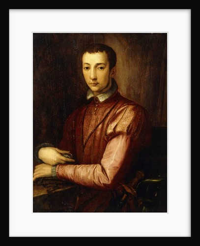 Portrait of Francesco I d'Medici seated half-length, wearing a Doublet with Slashed Sleeves by Alessandro Allori