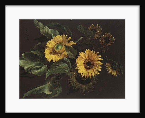 Sunflowers, 1839 by Louis-Apollinaire Sicard