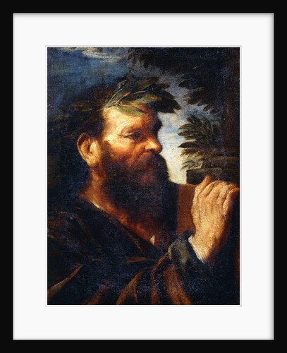 Head of a Sage by Pier Francesco Mola