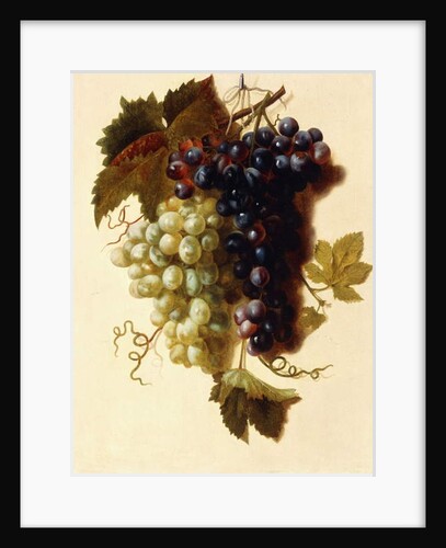 Bunches of Green and Red Grapes suspended from a Rope, c.1796 by Joseph-Laurent Malaine